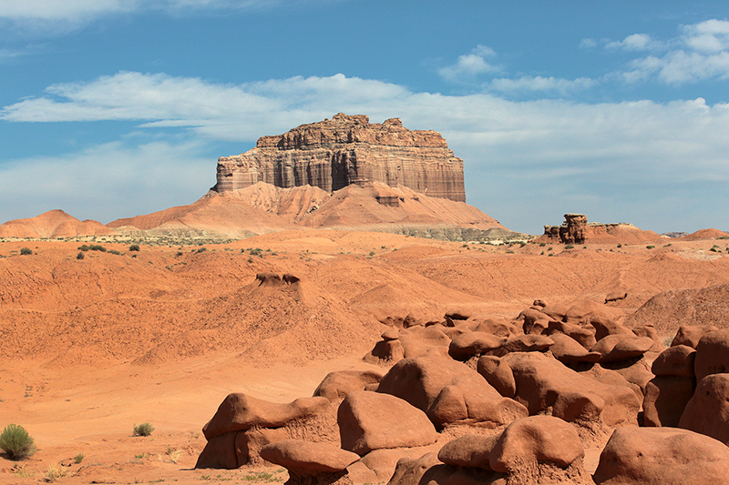 Bison : Antelope Island : Utah : Landscape Photos : Richard Moore : Photographer
